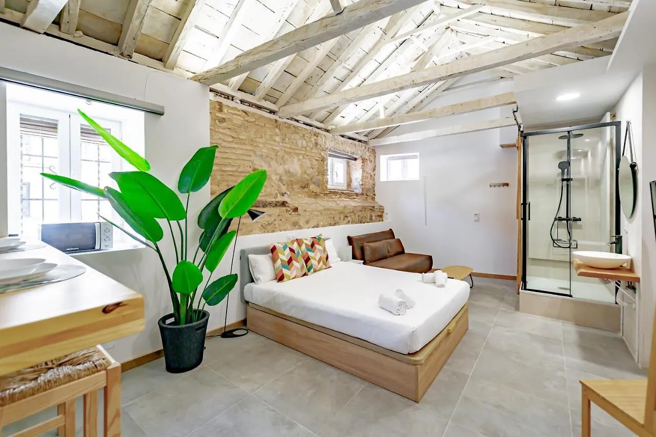 Trinitarios Apartment Toledo